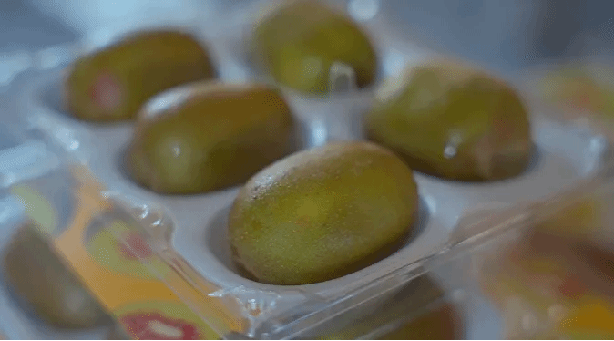 首页- 尊龙集团中国官网入口