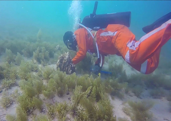 首页- 尊龙集团中国官网入口