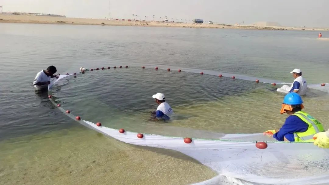 首页- 尊龙集团中国官网入口