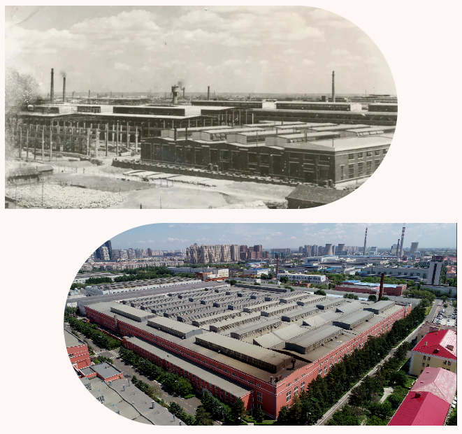 首页- 尊龙集团中国官网入口