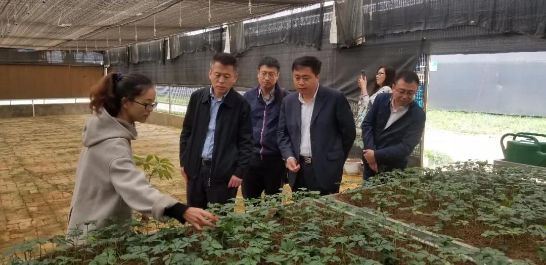 首页- 尊龙集团中国官网入口